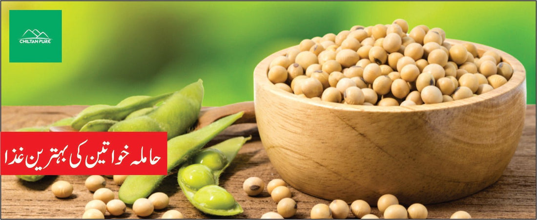 سویا بین کے طبی فوائد - ChiltanPure