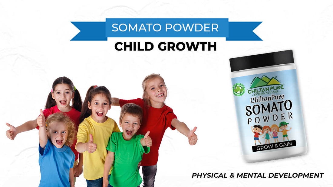 Somato Child growth Powder - Nutritious Drink for Children's Physical &amp; Mental Development - ChiltanPure