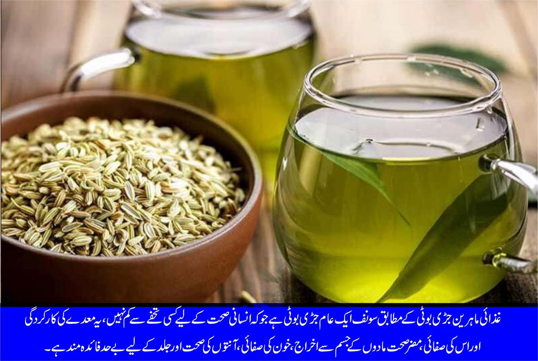 سونف کی چائے  کے صحت سے متعلق طبی فوائد - ChiltanPure