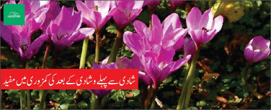 سورنجان کے طبی فوائد - ChiltanPure