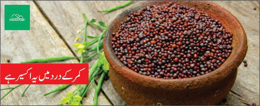 سرسوں کے بیج کے طبی فوائد - ChiltanPure