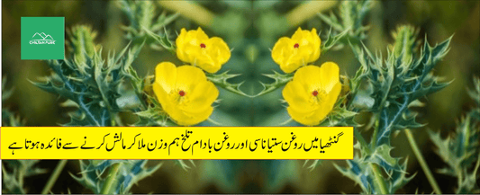 ستیاناسی پودے کے طبی فوائد - ChiltanPure