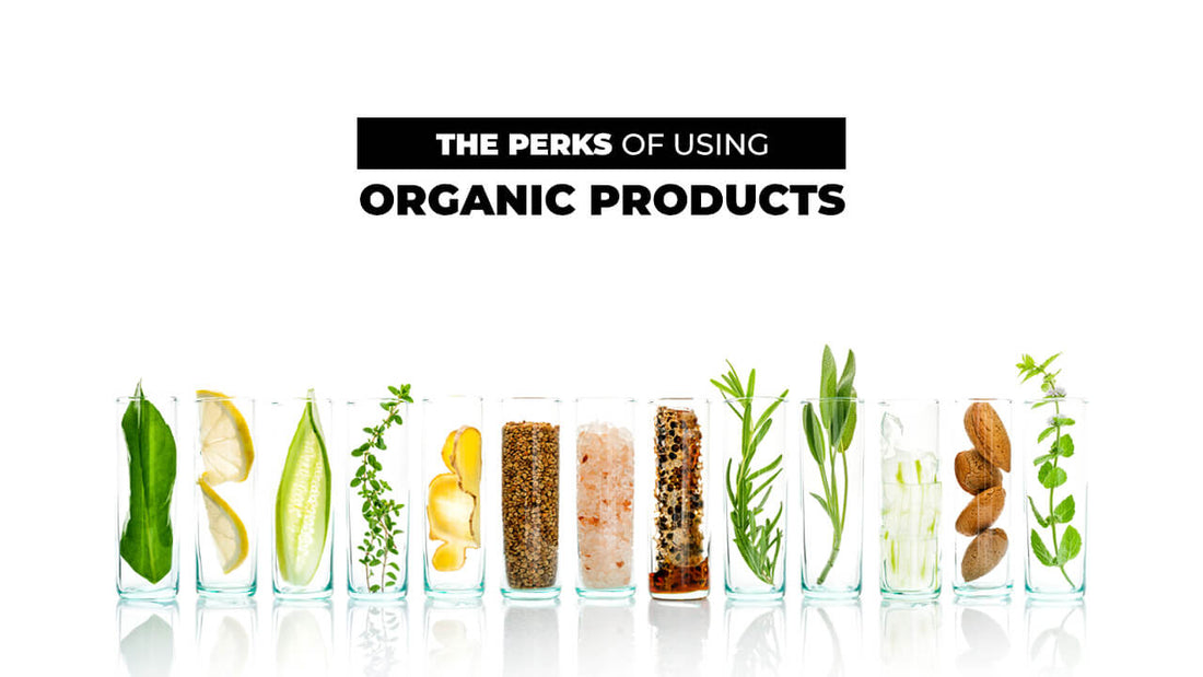The Perks of Using Organic Products - ChiltanPure