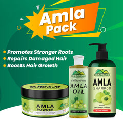 Amla Pack-Repairs Damaged Hair, Promotes Stronger Roots & Hair Growth