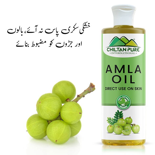Amla Oil – Lessen Hair Loss, Boosts Hair Growth, Treats Dry Scalp & Prevents Premature Hair Greying - ChiltanPure