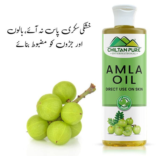 In Urdu Amle Ka Murabba Benefits Amla Murabba Natural Bilquis