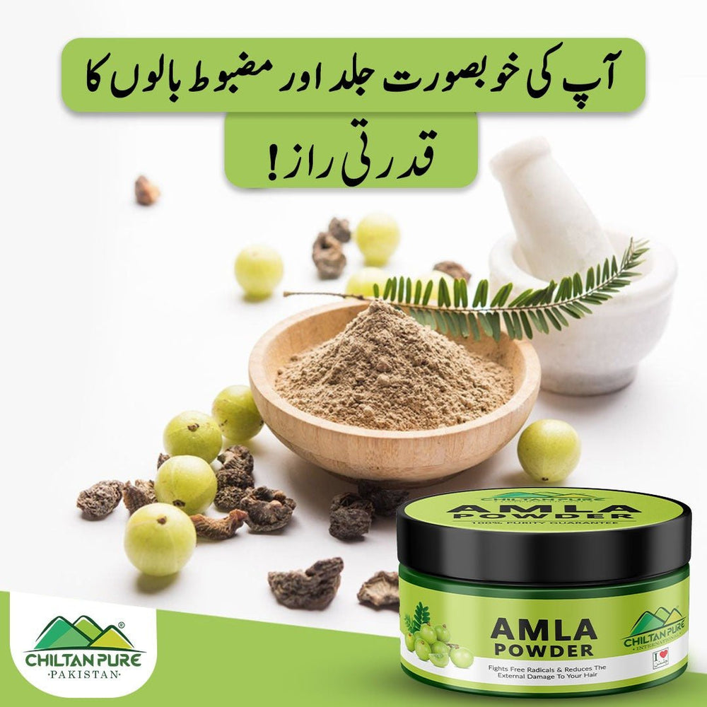 Amla Powder – Rich Source of Vitamin C, Power Pack for Hair & Skin [آملہ] 150gm - ChiltanPure