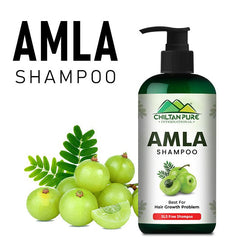 Amla Shampoo آملہ Keep Your Hair Follicles & Scalp Healthy & Nourishment - No. 1️⃣ Choice 👌 - ChiltanPure
