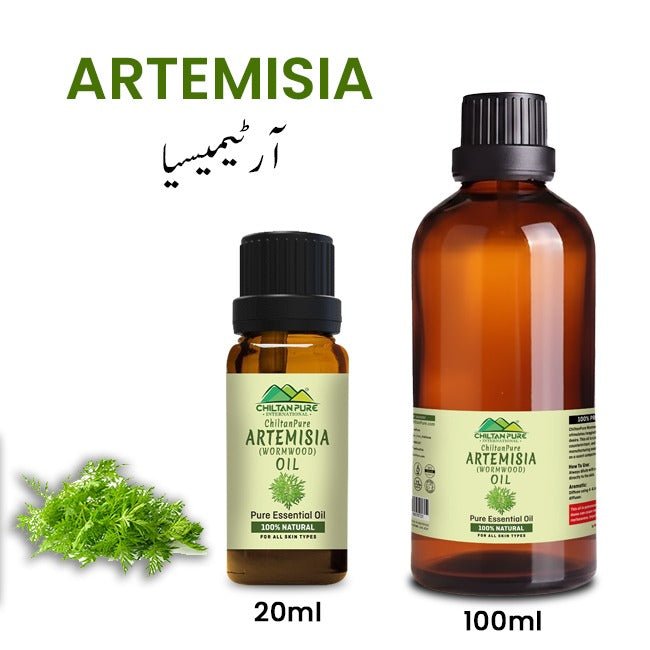 Artemisia Essential oil – Wormwood Essential Oil – Acts as an Emmenagogue, Relieves Nervous Afflictions & Prevents Microbial Infections 20ml - ChiltanPure