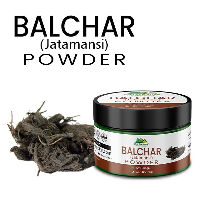 Balchar (Jatamansi) Powder – Stress Buster, Effective for Alopecia, Improves Learning & Memory Ability 50gm - ChiltanPure