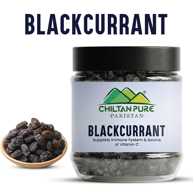 Black Currant – Support Immune System Source of Antioxidants & Vitamin C - ChiltanPure