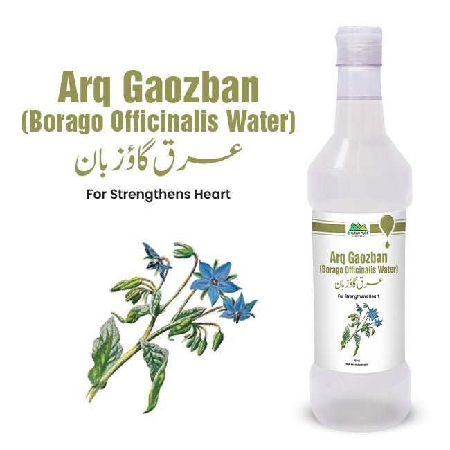 Borago Officinalis Water / عرق گاؤ زبان / Arq Goazban - ChiltanPure