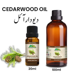 Cedarwood Essential Oil – Combats Hair Loss, Tightens Muscles, Natural Sedative & Antiseptic - ChiltanPure