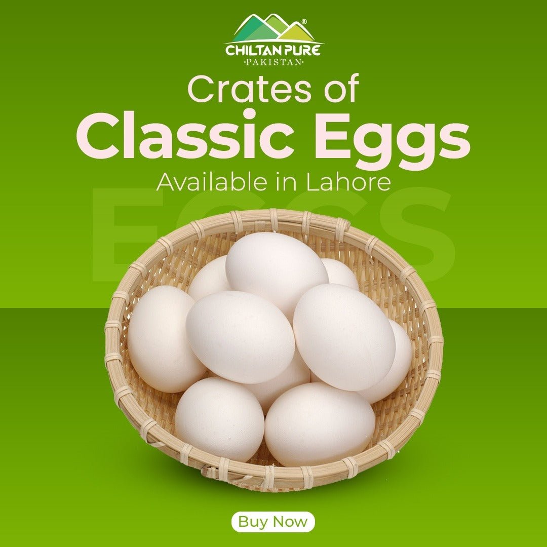 Classic Eggs 1 Dozen (12eggs) - ChiltanPure