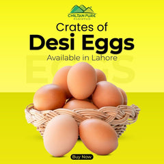 Desi Eggs 1 Dozen (12eggs) - ChiltanPure