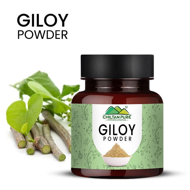 Giloy Powder – Improves Digestive Health, Strengthen Immune System, Good for Vision & Helps in the Management of Type II Diabetes 90gm - ChiltanPure