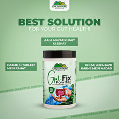 Gut Fix Powder - Your Natural Healer for Healthy , Happy Living - ChiltanPure