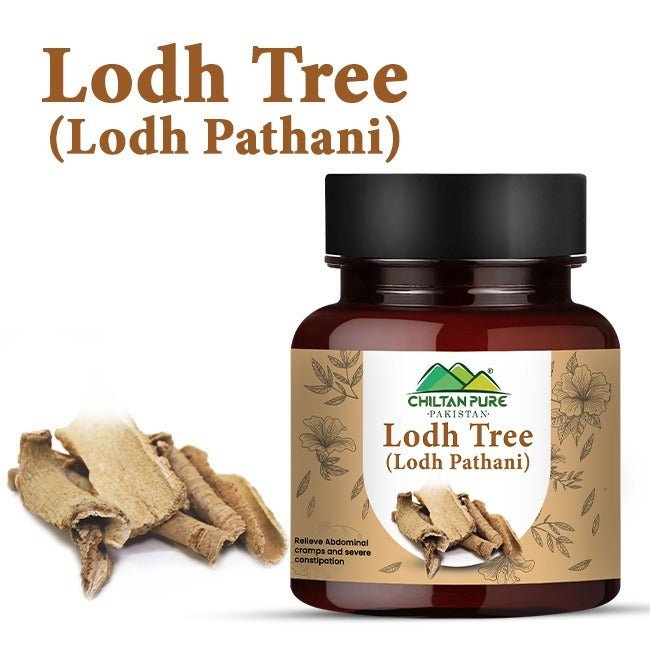 Lodh Tree / لودھ پٹھانی / Lodh Pathani - ChiltanPure