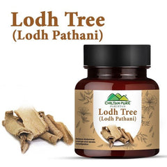 Lodh Tree / لودھ پٹھانی / Lodh Pathani - ChiltanPure