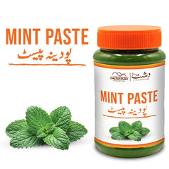Mint Paste / پودینہ پیسٹ / Podina Paste / 700gm - ChiltanPure