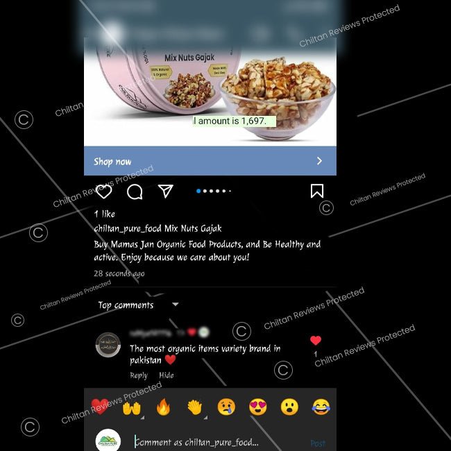 Mix Nuts Gajak - ChiltanPure