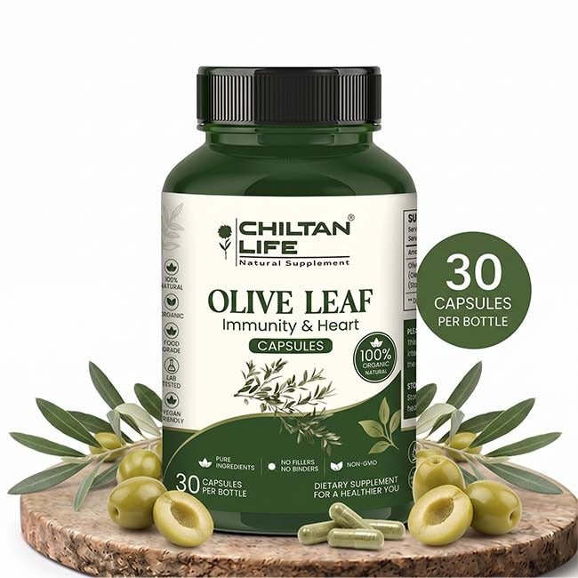 Olive Leaf Capsule 100% Natural Olive Leaf Tablets 30 Per Bottle 500mg - ChiltanPure