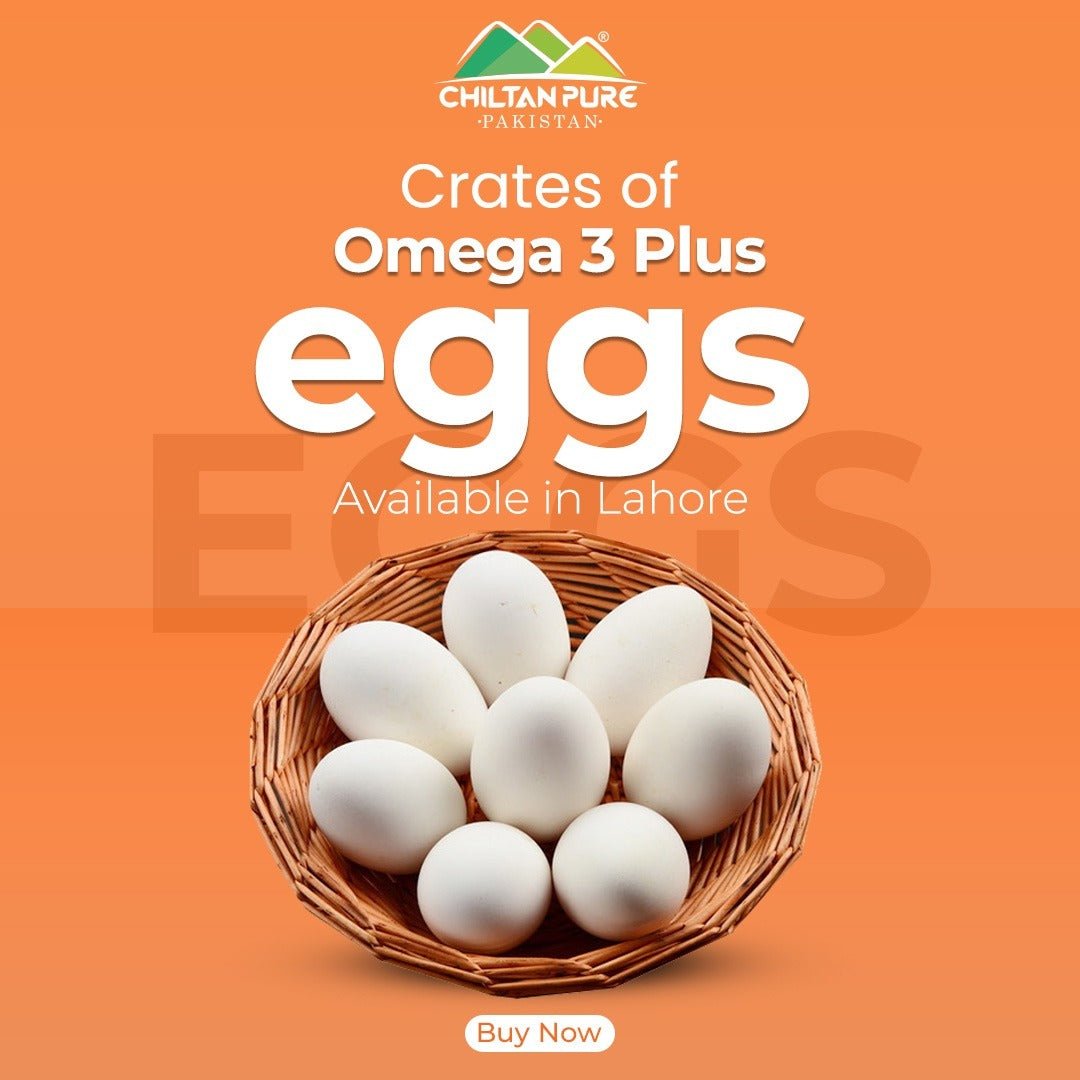 Omega 3 Plus Eggs / 1 Dozen (12eggs) - ChiltanPure