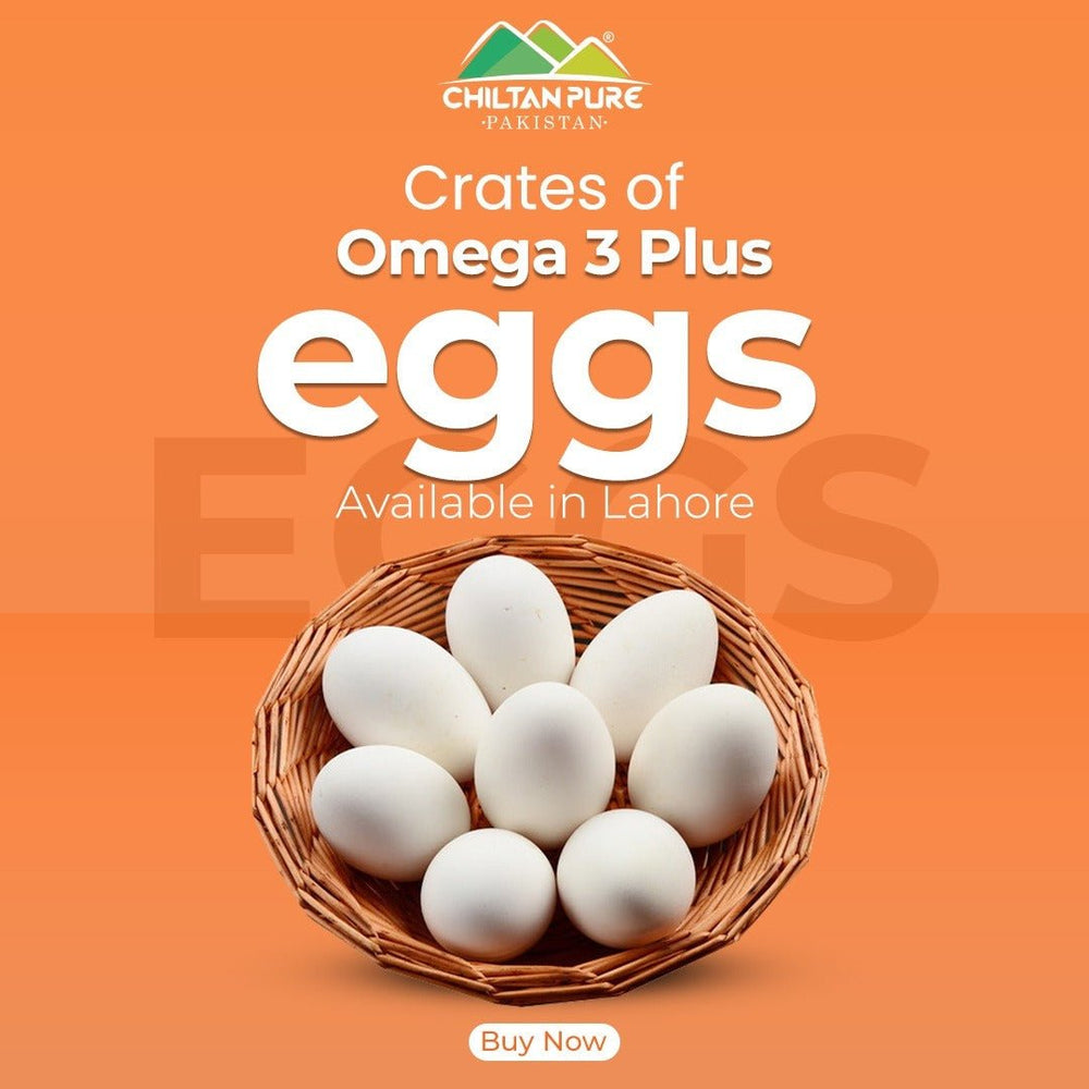 Omega 3 Plus Eggs / 1 Dozen (12eggs) - ChiltanPure