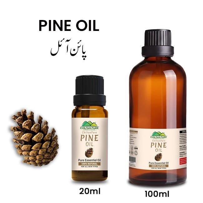 Pine Essential Oil - Memory Booster, Powerful Antioxidant, Enhances Cognition & Treats Eczema - ChiltanPure