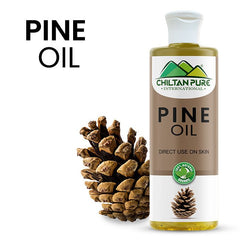 Pine Infused Oil – Decongestant, Circulation - Stimulating & Immune - Enhancing - ChiltanPure