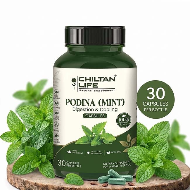 Podina (mint) Capsule 100% Natural Podina (mint) Tablets 30 Per Bottle 500mg - ChiltanPure