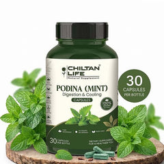 Podina (mint) Capsule 100% Natural Podina (mint) Tablets 30 Per Bottle 500mg - ChiltanPure