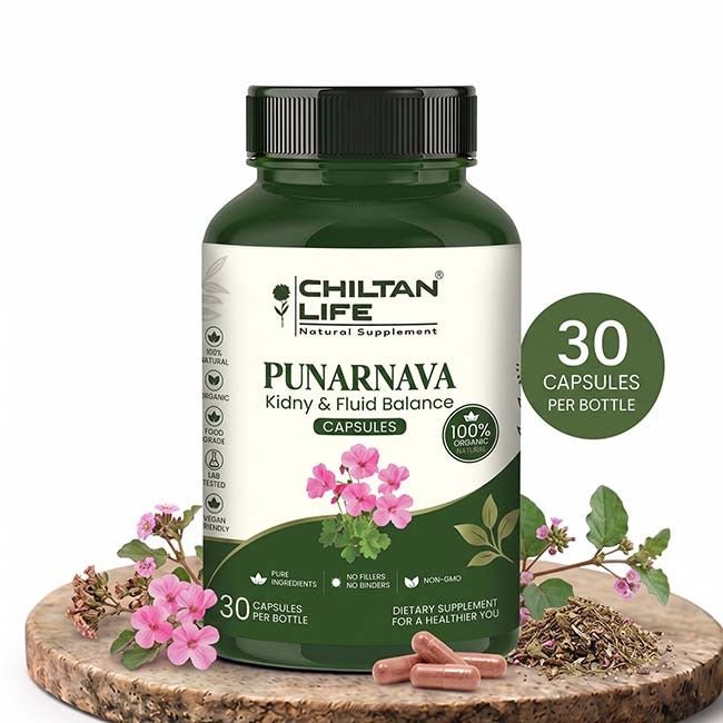Punarnava Leaf Capsule 100% Natural Punarnava Leaf Tablets 30 Per Bottle 500mg - ChiltanPure
