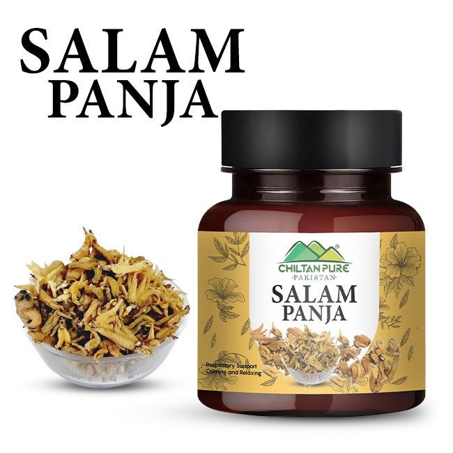 Salam Panja – Natural Herbal Root for Strength & Vitality - ChiltanPure