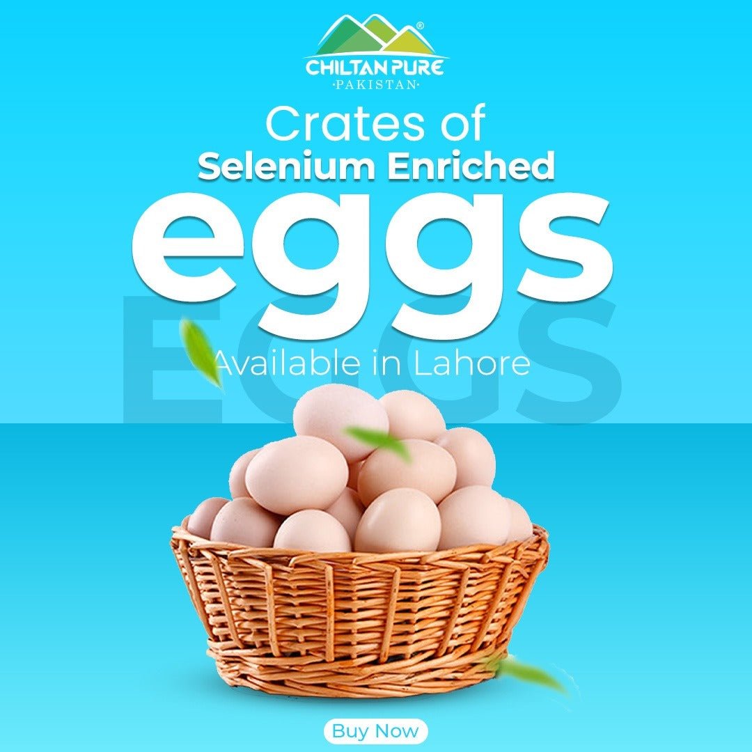 Selenium Enriched Eggs / 1 Dezon (12eggs) - ChiltanPure