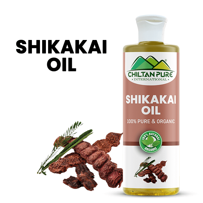 Shikakai Oil – Enriched with Vitamins, Anti-Oxidants, Enhance Hair Growth & Cure Scalp Problems - ChiltanPure
