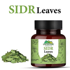 Sidr Leaves / سدر لیوز / Gross Weight 110gm - ChiltanPure