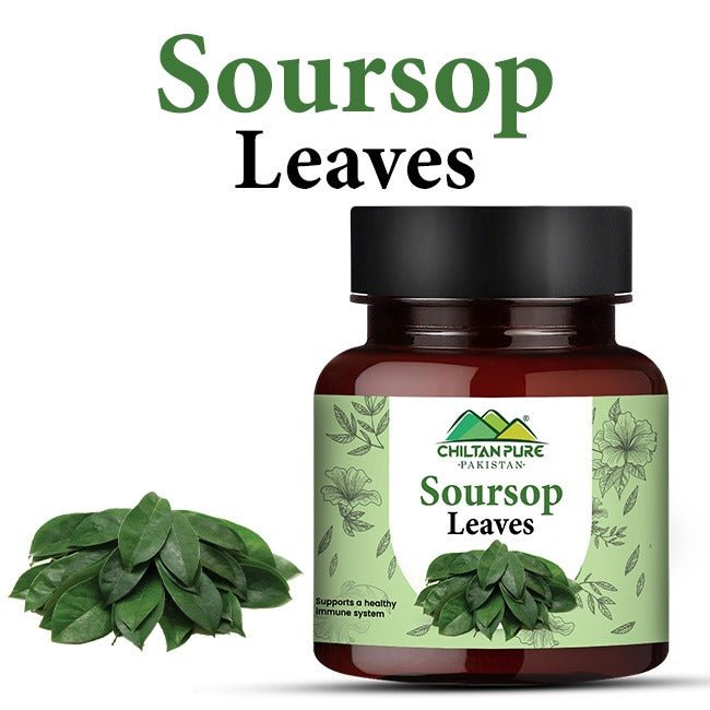Soursop Leaves / سورزپ لیوز - ChiltanPure