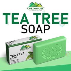 Tea Tree Soap - Cleanses & Moisturizes Skin, Fights Acne, Glow Booster - ChiltanPure
