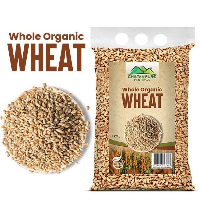 Whole Organic Wheat / گندم / Gross Weight 1kg - ChiltanPure
