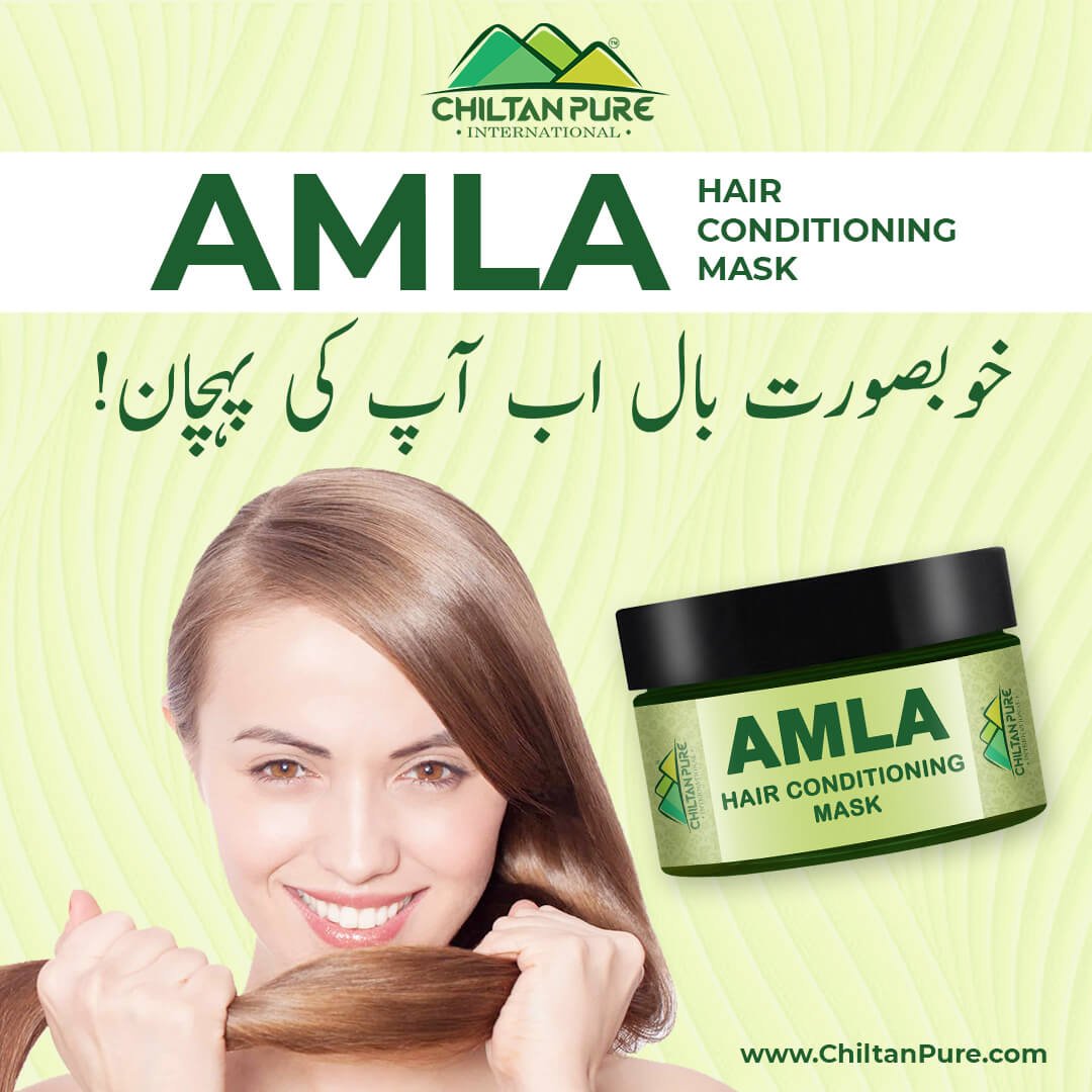 Amla Hair Conditioning Mask - Keep Hair Follicles &amp; Scalp healthy[آملہ] - ChiltanPure