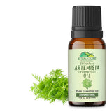 Artemisia Essential oil – Wormwood Essential Oil – Acts as an Emmenagogue, Relieves Nervous Afflictions & Prevents Microbial Infections 20ml - ChiltanPure
