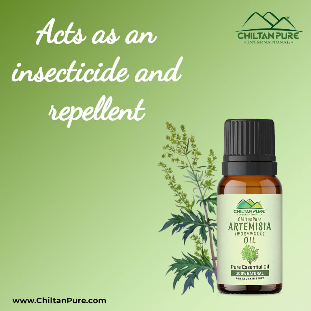 Buy Spearmint Essential Oil at Best Price in Pakistan - ChiltanPure
