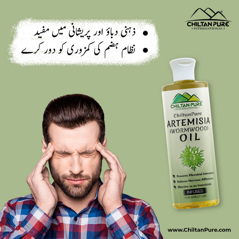Artemisia Infused oil – Wormwood Infused oil – Promotes Digestion, Relieves Nervous Afflictions, Acts as Emmenagogue & Cholagogue 200ml - ChiltanPure