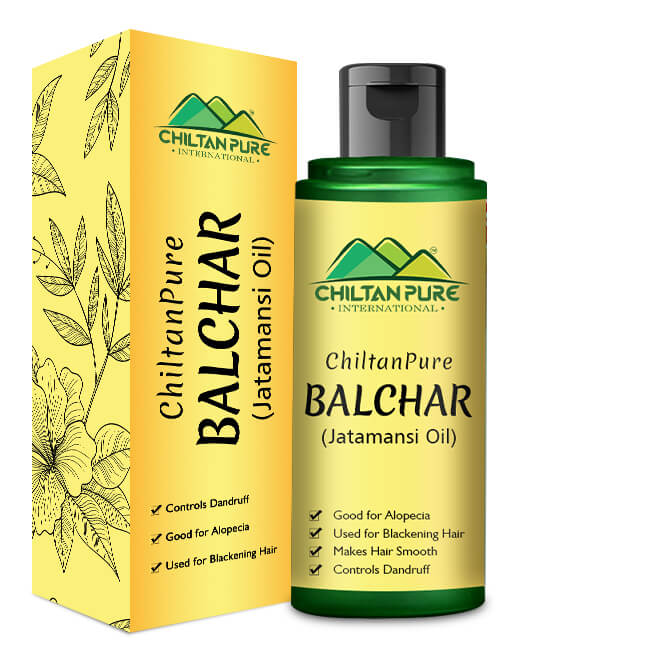 Balchar (Jatamansi) Oil – Effective for Alopecia, Enlarges Follicular Hair Size & Prevents Scalp Infections 120ML - ChiltanPure