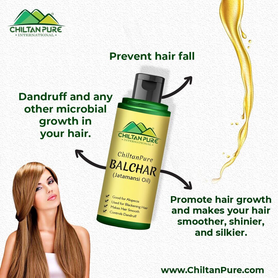 Balchar (Jatamansi) Oil – Effective for Alopecia, Enlarges Follicular Hair Size & Prevents Scalp Infections 120ML - ChiltanPure