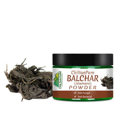 Balchar (Jatamansi) Powder – Stress Buster, Effective for Alopecia, Improves Learning & Memory Ability 50gm - ChiltanPure
