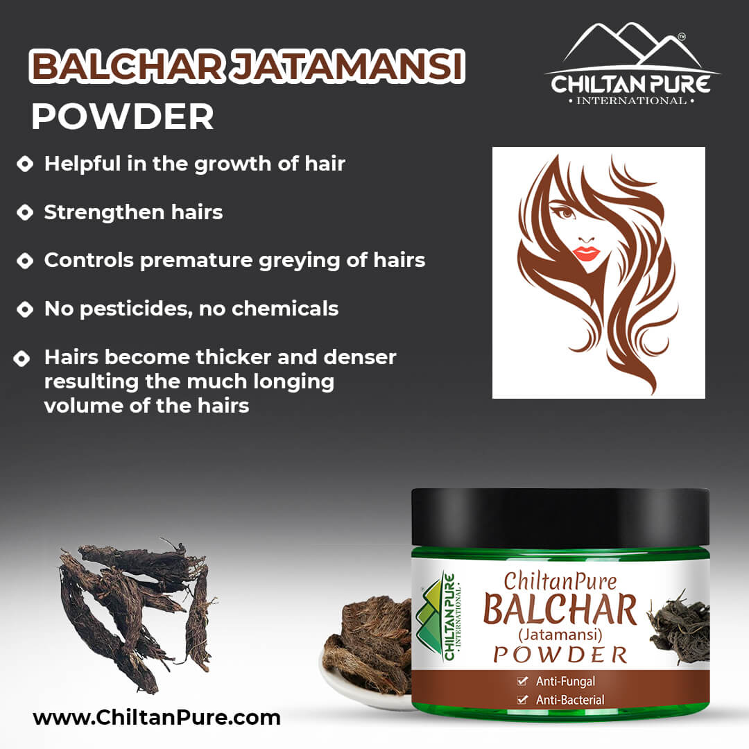 Balchar (Jatamansi) Powder – Stress Buster, Effective for Alopecia, Improves Learning & Memory Ability 50gm - ChiltanPure
