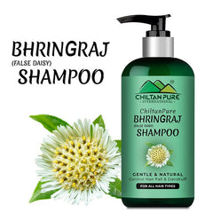 Bhringraj Shampoo - Nourishes Scalp, Promotes Hair Growth, and Prevents Premature Hair Greying - ChiltanPure