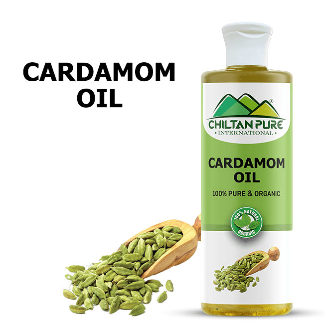 Cardamom Infused Oil – Protects Oral Health, Promotes Blood Circulation & Skin Purifier 200ml - ChiltanPure